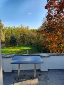 a table sitting on a patio with a view of a park at Apartmenthaus Am Schlosspark in Schkopau