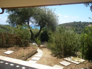 a view of a garden with a tree at Dino&Fanny Villasimius in Villasimius