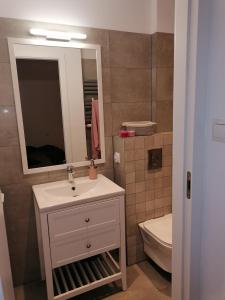W łazience znajduje się umywalka, lustro i toaleta. w obiekcie Pulawska 53 w Warszawie