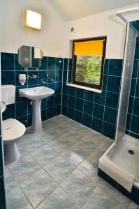 a bathroom with a sink and a toilet and a shower at Ośrodek Wypoczynkowy Gromada in Krynica Zdrój