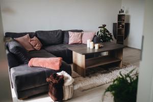 Sala de estar con sofá negro y mesa de centro en Magas-lak Apartman Eger, en Eger