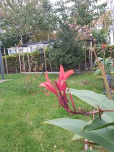 Afbeelding uit fotogalerij van Bospareltjes Luxe chalets Alleen voor recreatie in Oisterwijk