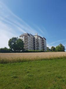 un edificio alto di fronte a un prato erboso di Ansbachs City Apartment ad Ansbach