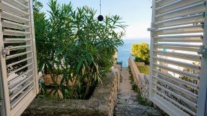 Κήπος έξω από το Apartmani Antonieta