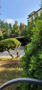 Blick auf einen Garten mit Busch in der Unterkunft Hotel Mediterraneo in Qualiano