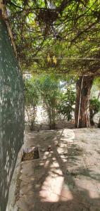a shady area with a tree and a stone patio at Hotel Mediterraneo in Qualiano