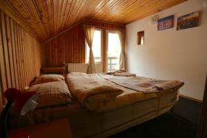 a bedroom with two beds and a window at Silver Tree in Bran