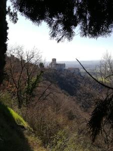 vista su una collina con un castello in lontananza di Hotel Villa Elda ad Assisi