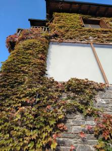 an ivy covered building with two windows on it at La Borda de Sort in Sort