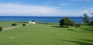 Zdjęcie z galerii obiektu C'DaView Apartment Suite w mieście Montego Bay