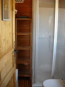 uma pequena casa de banho com chuveiro e WC em Aurel inattendu em Aurel