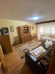 a living room with a couch and a tv at Apartament Slanic Moldova in Slănic-Moldova