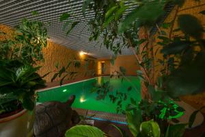 Bazén v ubytování SPA&Hotel MŪSA PARADISE nebo v jeho okolí