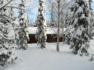 Chalet Tunturipöllö v zimě
