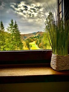 a window with a potted plant sitting on a window sill at Garden Apart&Rooms Predeal in Predeal