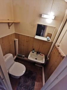 a bathroom with a sink and a toilet and a mirror at Tilava huoneisto puutarhanäkymällä in Kankaanpää