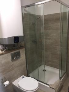 a bathroom with a toilet and a glass shower at Akali studio apartments in Balatonakali