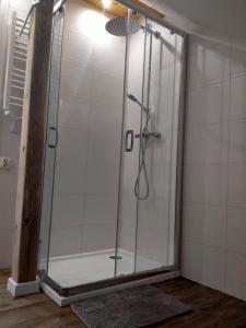 y baño con ducha y puerta de cristal. en Nadbużańska Przygoda en Janów Podlaski