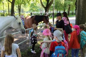 un grupo de niños mirando caballos en un zoológico en Nadbużańska Przygoda en Janów Podlaski