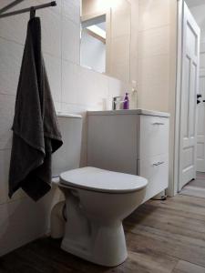 een badkamer met een toilet, een wastafel en een spiegel bij Nadbużańska Przygoda in Janów Podlaski