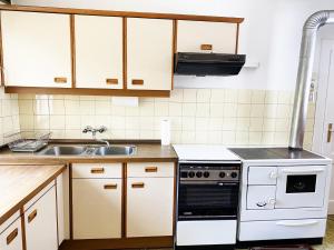 cocina con fregadero y fogones en Bauernhaus Moser, en Nötsch