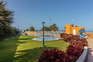 einen Park mit Pool, Stühlen und Blumen in der Unterkunft Amadores Beach Apartments in Mogán