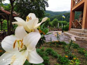 Zahrada ubytování Bilovoddya Hotel