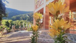 eine Gruppe gelber Blumen neben einem Gebäude in der Unterkunft Bilovoddya Hotel in Sil'