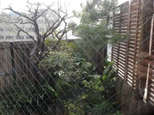 a fence with a tree in front of a building at Asano Hotel in Kitakyushu