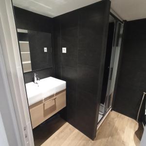 ein Badezimmer mit einem weißen Waschbecken und einem Spiegel in der Unterkunft A 4 min du Zoo de Beauval La Maison à Partager Ch4 2ème étage in Saint-Aignan