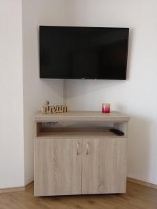TV a/nebo společenská místnost v ubytování Apartmani & SPA Matin Breg