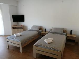 two beds in a room with a flat screen tv at Apartmani Matin Breg in Jošanička Banja