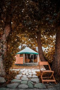 una tienda sentada bajo dos árboles con un banco en Roomy Yurts, Minapin Nagar Hunza en Hini