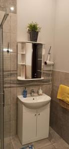 a bathroom with a sink and a shower at Studio flat in a historical XIX c. building. in Kaunas