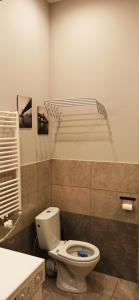 a bathroom with a toilet and a bath tub at Studio flat in a historical XIX c. building. in Kaunas +5 photos
