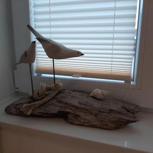 zwei Vögel auf einem Baumstamm vor einem Fenster in der Unterkunft Nordstern in Tönning