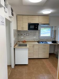 uma cozinha com armários de madeira, um lavatório e um micro-ondas em Apartmány Kosmonosy, Hradištská 193 em Mladá Boleslav