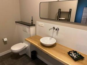 Vannituba majutusasutuses B&B Het Doctershoes