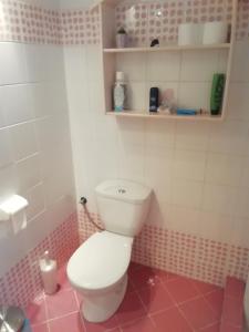 baño con aseo blanco y azulejos rosados en Φωλιά en Chalkida
