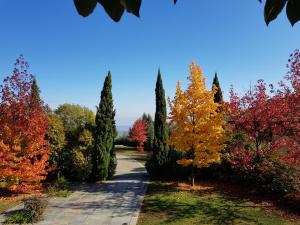 um caminho através de um jardim com árvores no Outono em Certosa 1515 em Avigliana