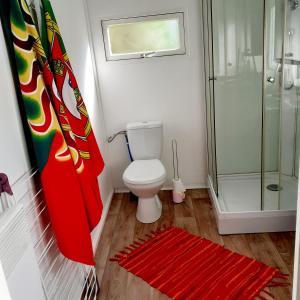 een badkamer met een toilet, een douche en een rood tapijt bij Chalet in Narrosse