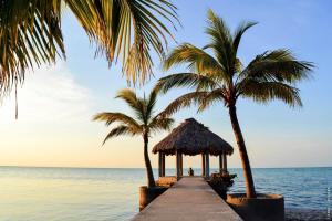een pier met palmbomen op het strand bij Horse Cottage in Sarteneja
