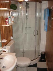 W łazience znajduje się prysznic, toaleta i umywalka. w obiekcie Casaviacomo Chalets w mieście Porlezza