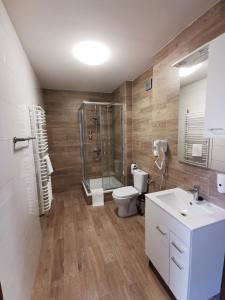 een badkamer met een douche, een toilet en een wastafel bij Miodowe Siedlisko in Sokółka