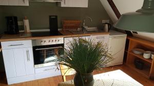 a kitchen with an oven and a potted plant at Lieblingsplatz in Bremen