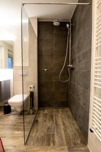 e bagno con servizi igienici e cabina doccia in vetro. di Harz Living - Ferienwohnungen mit Traumblick a Bad Lauterberg Altre 45 foto