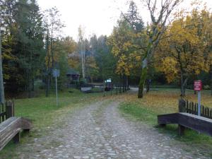 a dirt road in a park with two benches at Domek na skraju lasu in Płaska