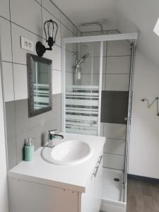 ein weißes Bad mit einem Waschbecken und einer Dusche in der Unterkunft maison du bonheur de la basse biguerie proche du zoo de la flèche in Saint-Jean-de-la-Motte
