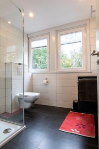 La salle de bains est pourvue de toilettes et d'une douche en verre. dans l'établissement Harz Living - Ferienwohnungen mit Traumblick, à Bad Lauterberg
