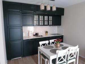 a kitchen with green cabinets and a table with chairs at Baltica Sea Apartment II in Gdańsk
